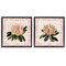 Stupell Industries Pink Vintage Pattern Botanicals 2pc Floating Frame Set, design by Livi Finn